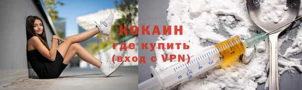дурь Тайга