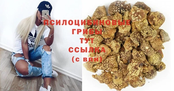2c-b Сясьстрой