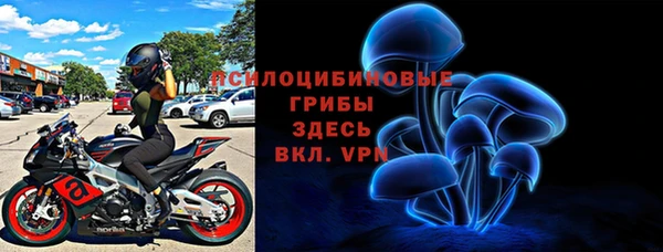 PSILOCYBIN Белоозёрский